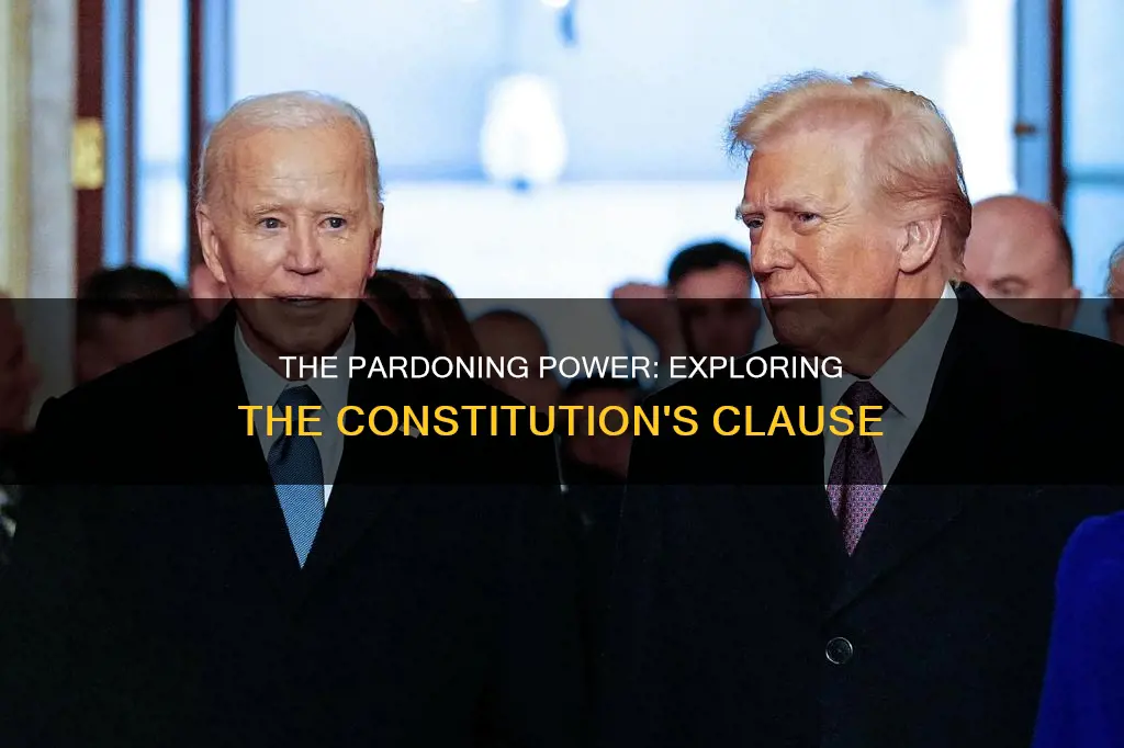 what part of the constitution mentions graningt pardons