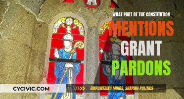 The Power to Pardon: Exploring Constitutional Boundaries