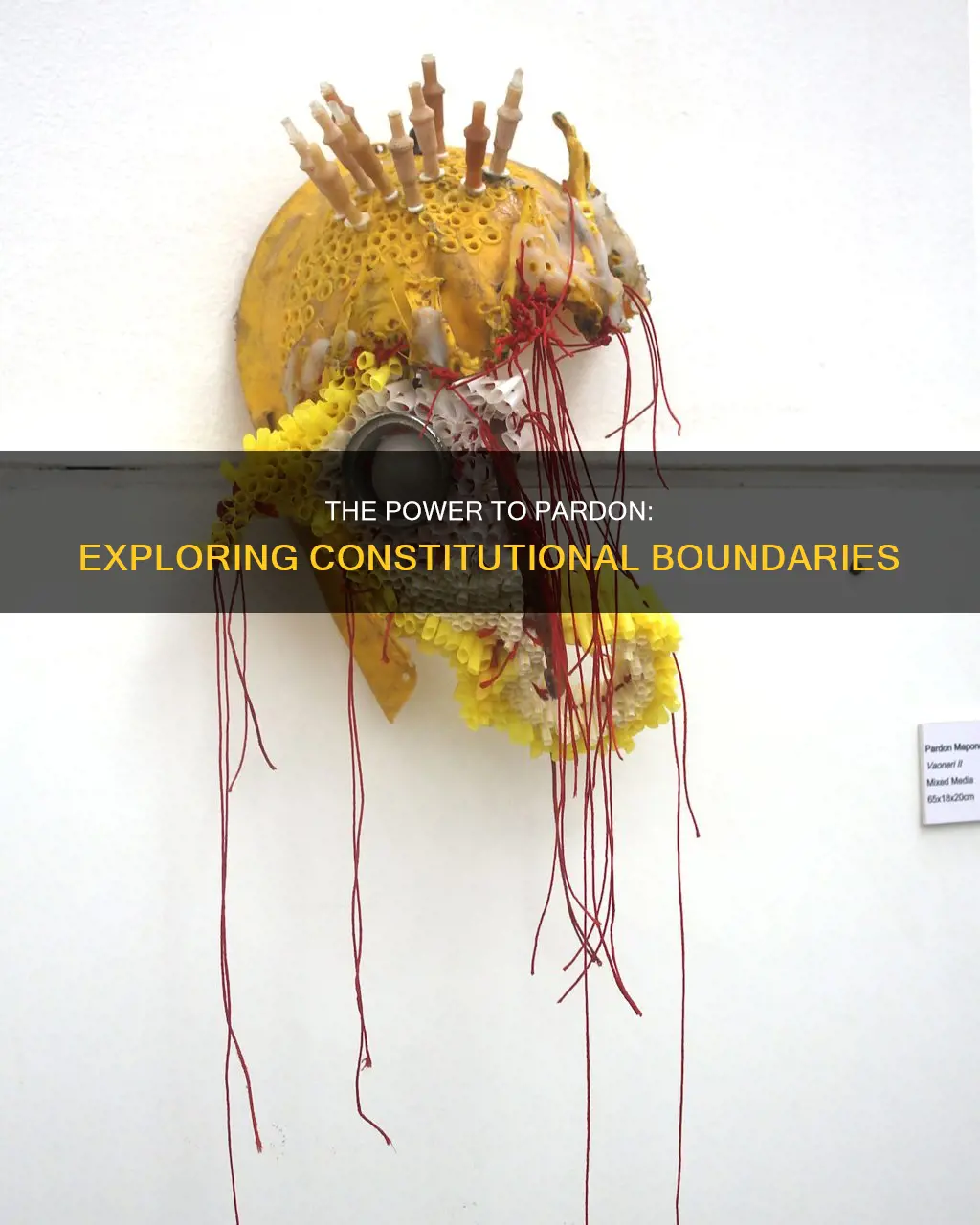 what part of the constitution mentions grant pardons