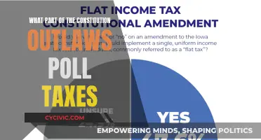 The Constitution's Outlawing of Poll Taxes: A Citizen's Right