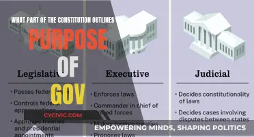 The Constitution: Framing Government's Purpose and Role