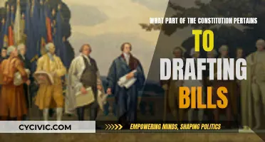 The Constitution's Role in Shaping Lawmaking