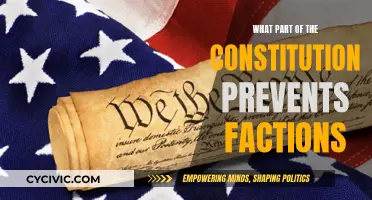 Avoiding Factions: The Constitution's Safeguards for a United America