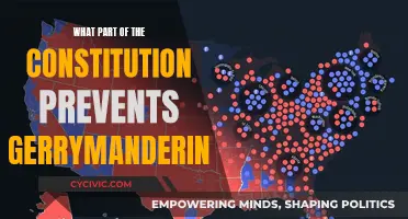 Combating Gerrymandering: Constitutional Safeguards and Electoral Integrity