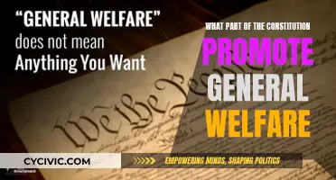 General Welfare: The Constitution's Welfare Promotion and Safeguards