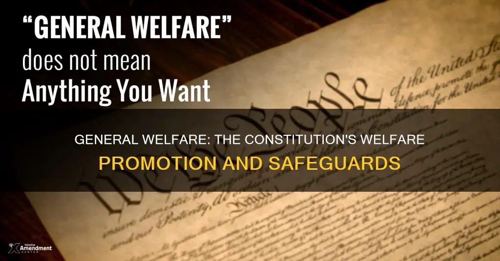 what part of the constitution promote general welfare