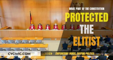 The Constitution's Elite Protection: A Historical Analysis