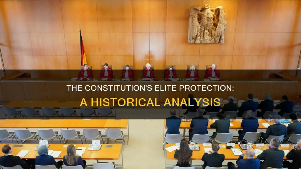 what part of the constitution protected the elitist