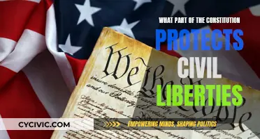 Civil Liberties: The Constitution's Core Protection Principles