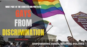 The Constitution's Gay Rights Protection: Equality Under the Law