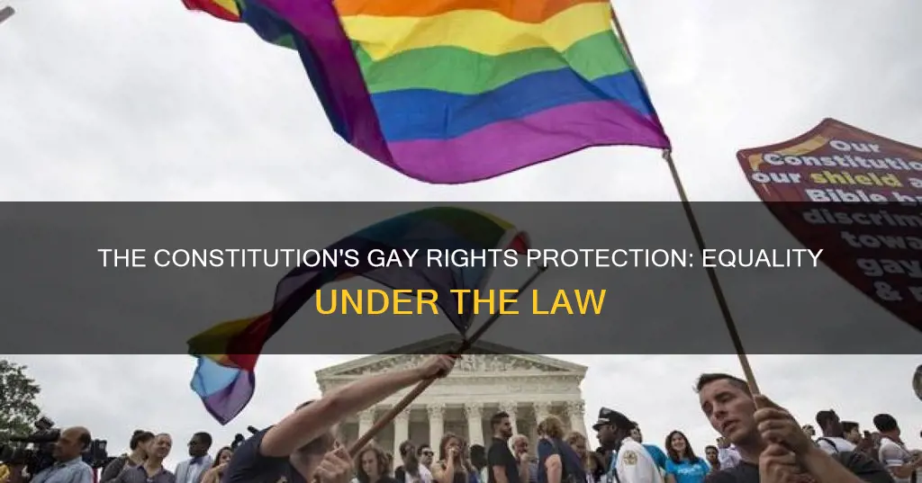 what part of the constitution protects gays from discrimination