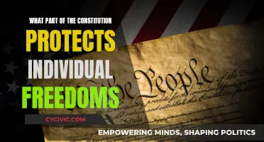 The Constitution's Safeguards: Individual Freedoms and Their Protectors