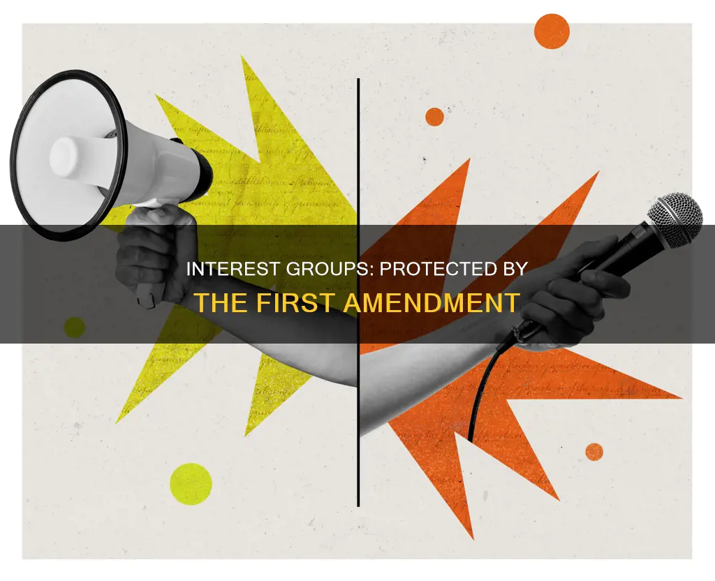 what part of the constitution protects interest groups
