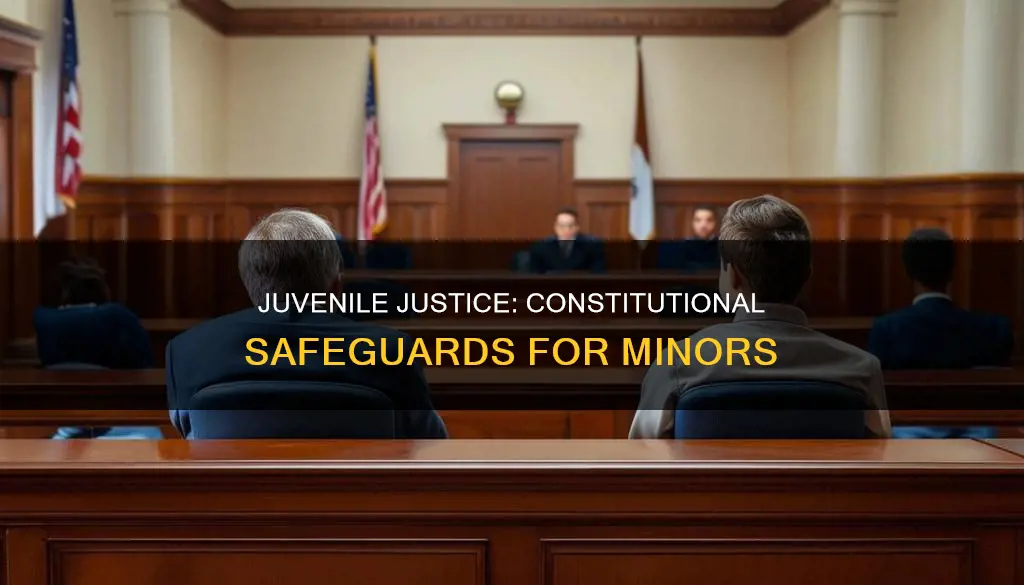 what part of the constitution protects juveniles