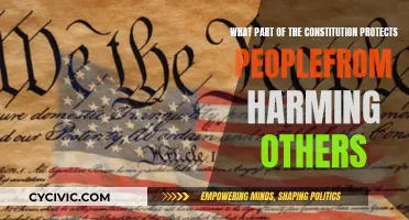 The Constitution's Role: Protecting People From Harm