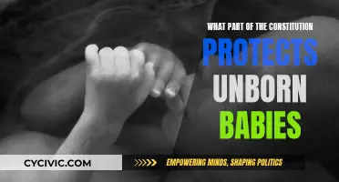 The Constitution and Unborn Babies: What's the Legal Protection?
