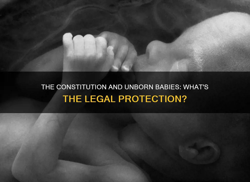 what part of the constitution protects unborn babies