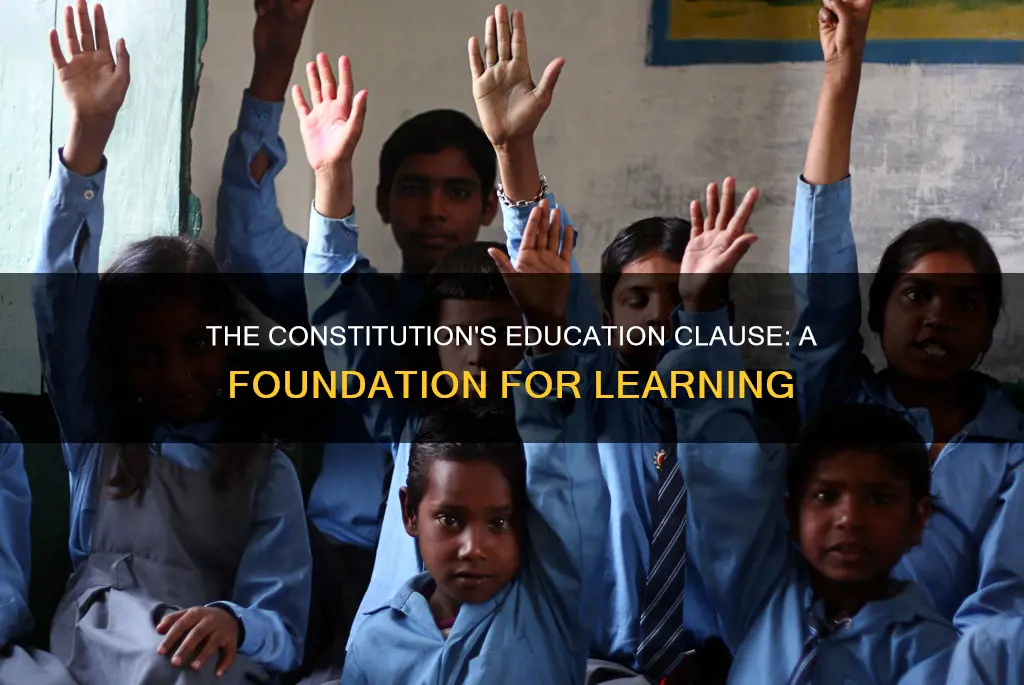 what part of the constitution provides education