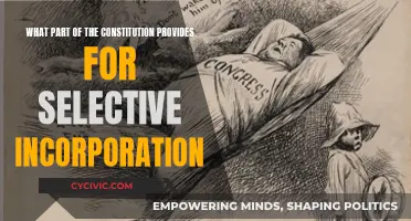 The Constitution's Selective Incorporation: Understanding the 14th Amendment