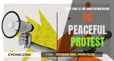 The Right to Peaceful Protest: Constitutional Foundation