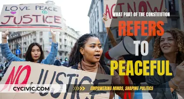 Peaceful Assembly: The Constitution's Right to Freedom
