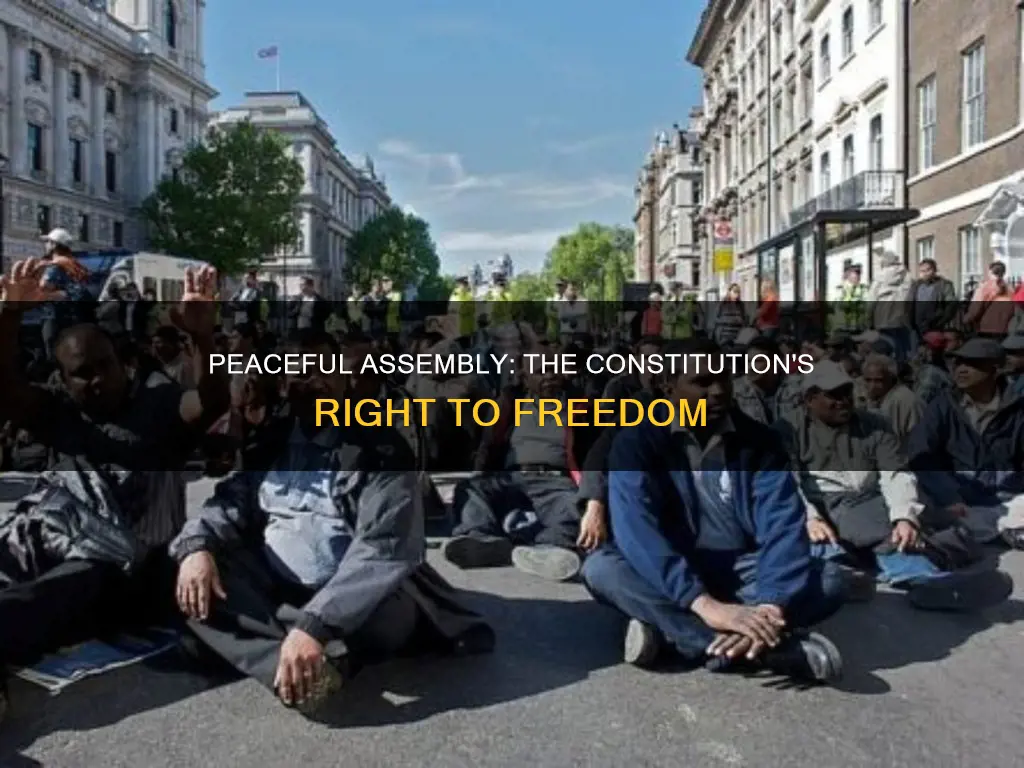 what part of the constitution refers to peaceful