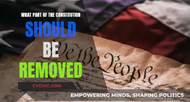 The Constitution: What to Remove and Why?