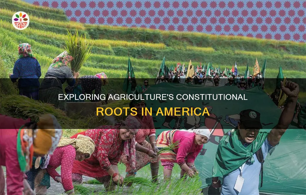 what part of the constitution talks about agriculture