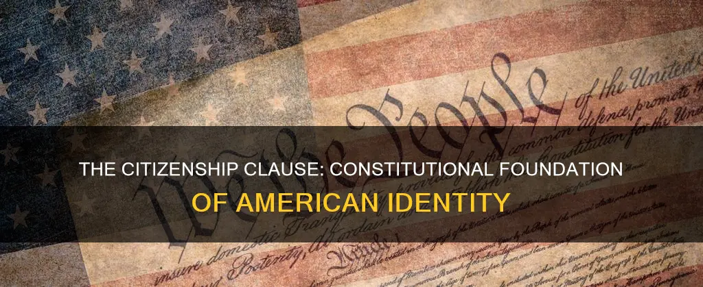 what part of the constitution talks about citizenship