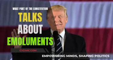Emoluments Clause: Constitutional Limits on Presidential Power