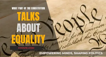Exploring Equality in the Constitution: Where Does It Stand?