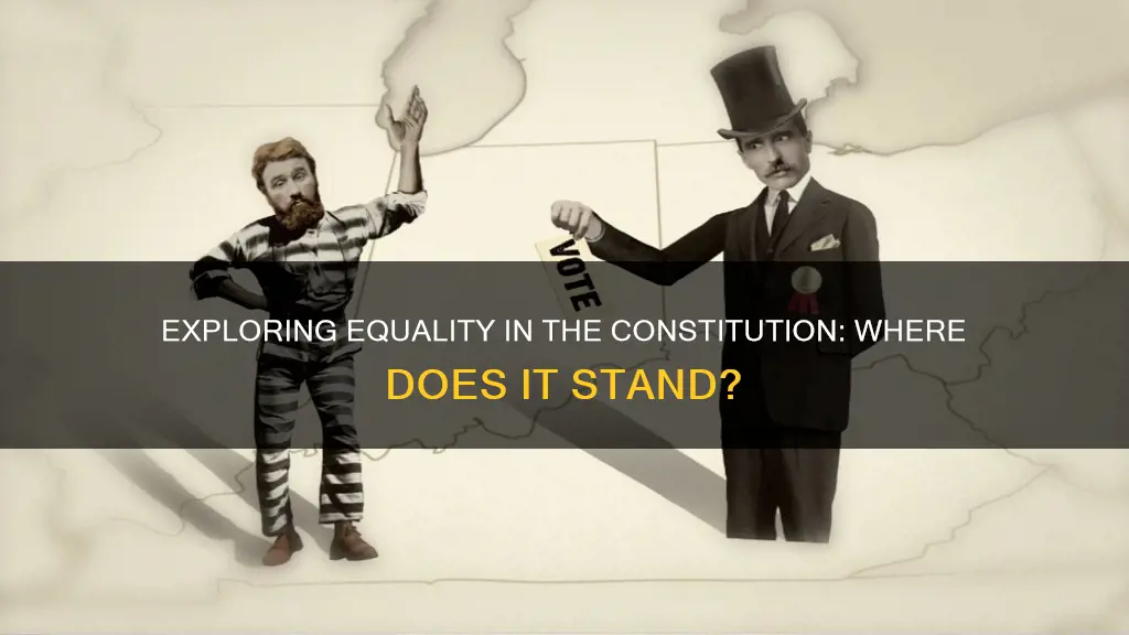what part of the constitution talks about equality