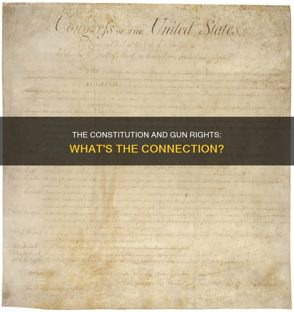 what part of the constitution talks about guns