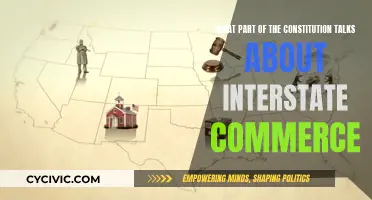 Interstate Commerce Laws: Constitutional Basis and Scope