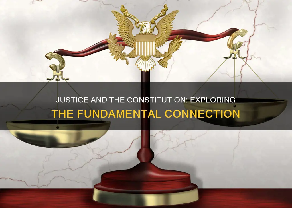 what part of the constitution talks about justice