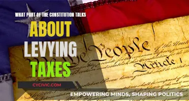The Constitution and Taxes: What's the Connection?
