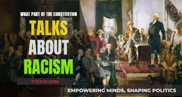 Racism and the Constitution: Where Do They Intersect?