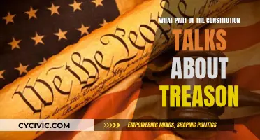 Exploring Treason in the Constitution: Understanding the Document's Heart