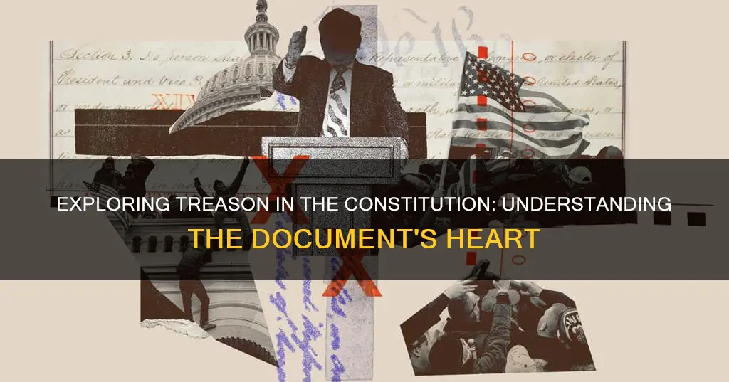 what part of the constitution talks about treason