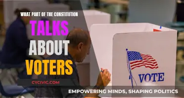 The Constitution and Voter Rights: Exploring the Connection