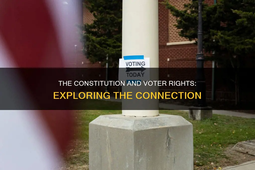 what part of the constitution talks about voters