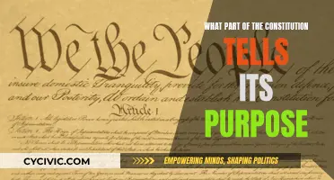 The Constitution's Purpose: Understanding the Preamble's Promise