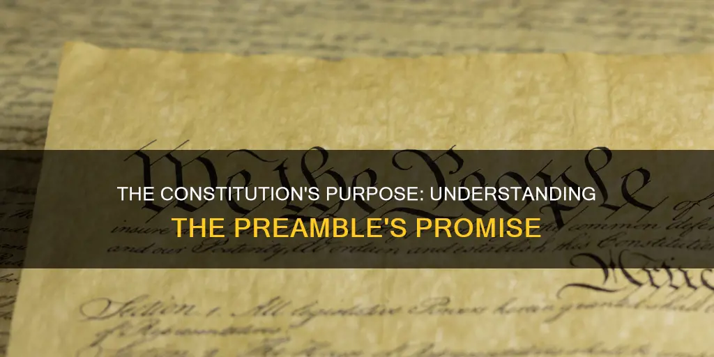 what part of the constitution tells its purpose