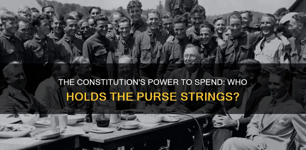 what part of the constitution vest power to spend money
