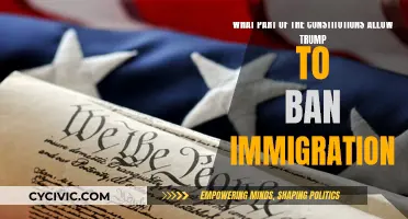 Trump's Immigration Ban: Constitutional Basis?