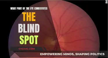 Understanding the Blind Spot: Exploring the Eye's Unique Anatomy