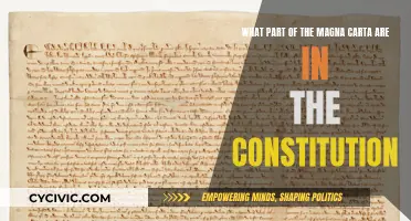 The Magna Carta's Influence on the US Constitution