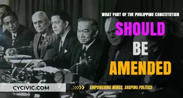 Amending the Philippine Constitution: What Sections Need Revision?