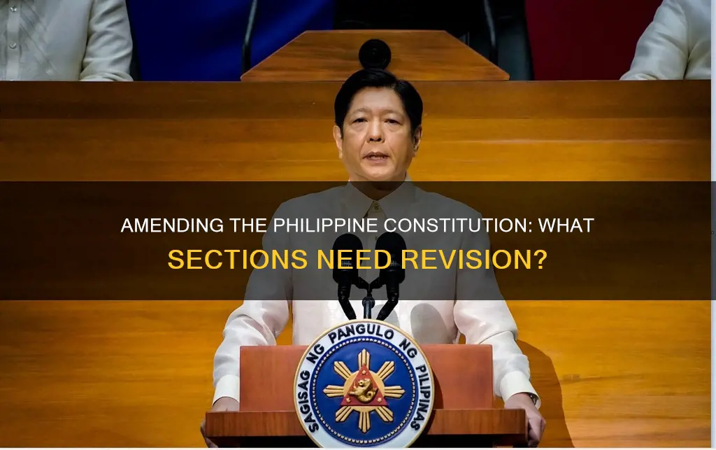 what part of the philippine constitution should be amended