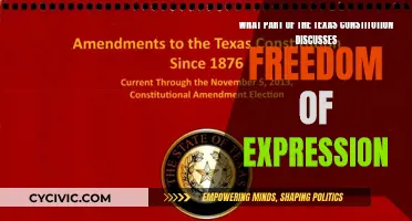 Texas Constitution's Take on Freedom of Expression